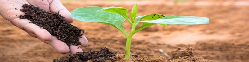 Universal Agrochemical For Agricultural Developmen