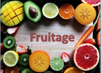 Fruitage For Exporting Agricultural Crops