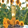 Sunflower Oils