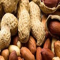 Ground Nuts and Peanut