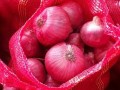 Fresh Red Onions