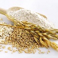  Whole Wheat Grains