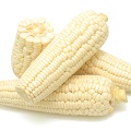 White Dry Non-gmo Maize