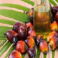  Palm Oil 