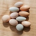  Fresh Chicken Eggs
