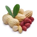 Raw Peanuts and Blanched Peanuts
