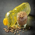 Soybean Oils 