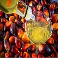  Palm Oil