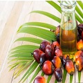 Palm Oils 