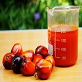 Palm Acid Oils