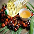  Palm Oils 
