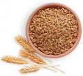 Wheat Grain 